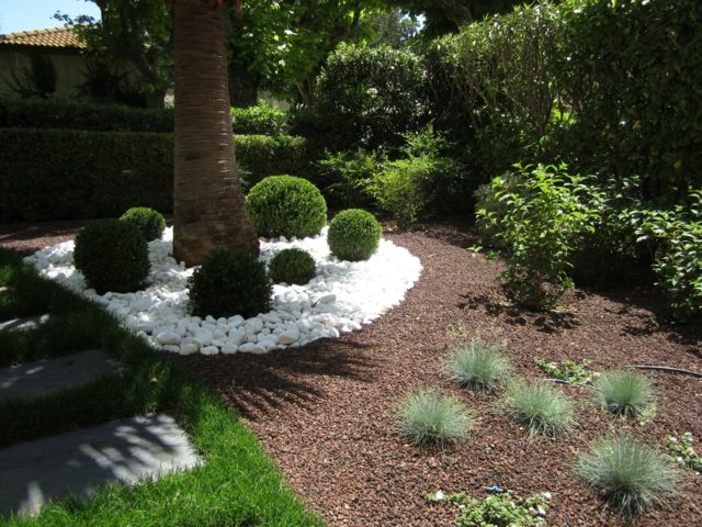 garden landscaping trees white stones