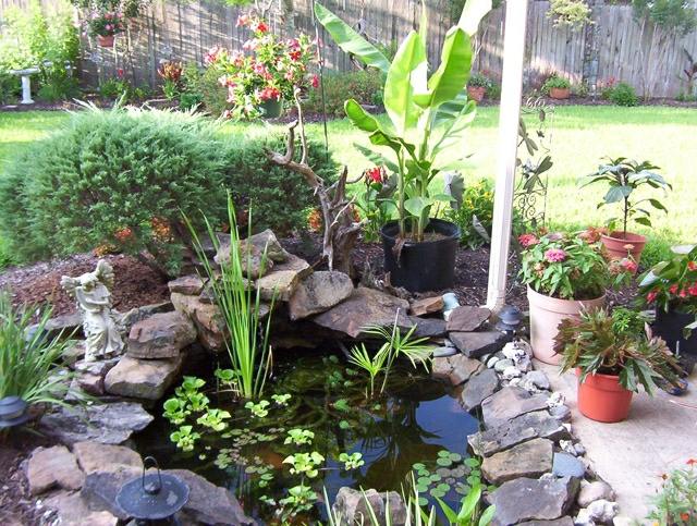 water garden on the terrace