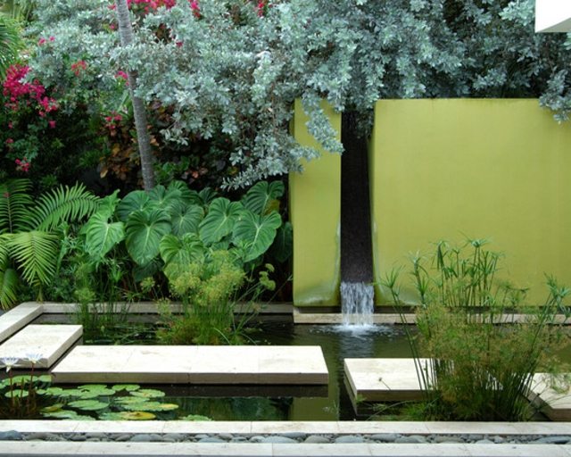 contemporary aquatic garden