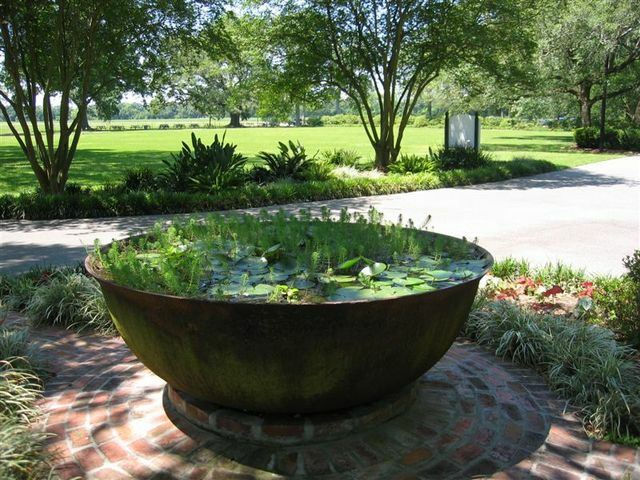 aquatic garden contained in a large container