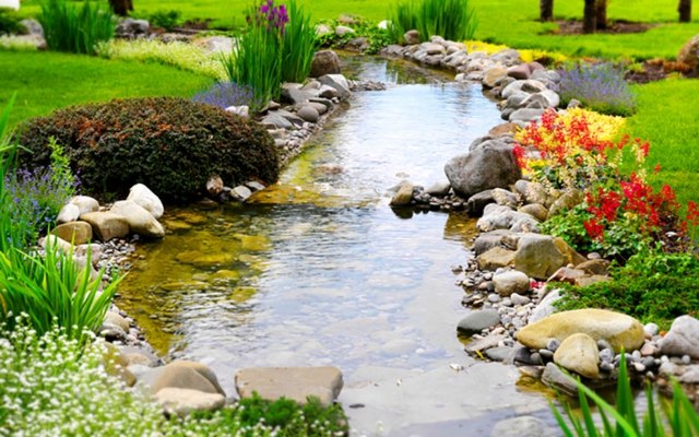 beautiful water garden