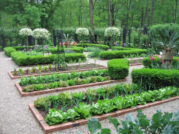 garden landscaping vegetable trees large garden