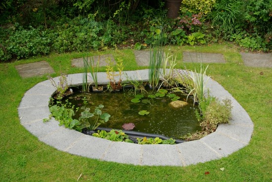 garden pond water idea