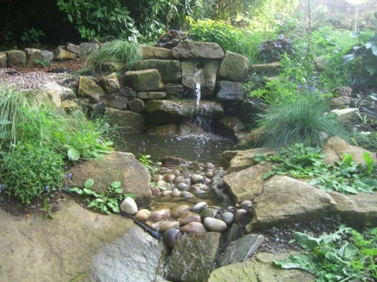 garden pond water stone