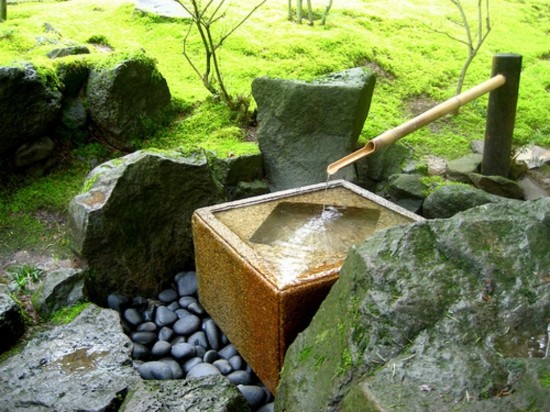 garden pond zen water