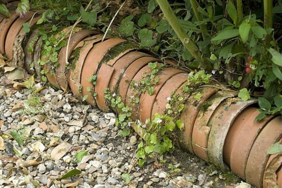 garden border pots flowers idea diy