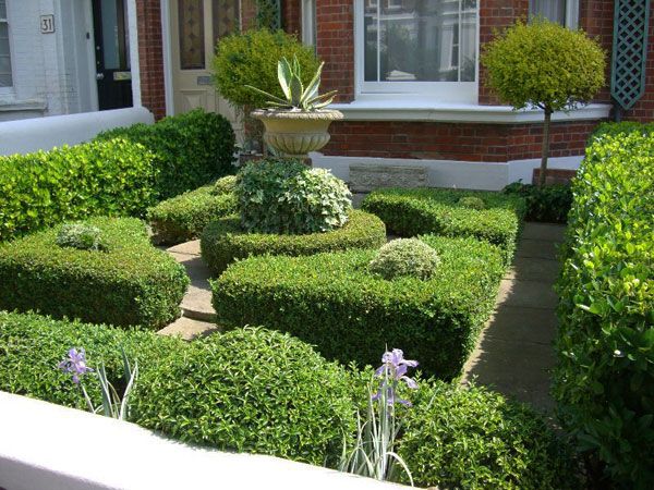 garden boxwood tallies