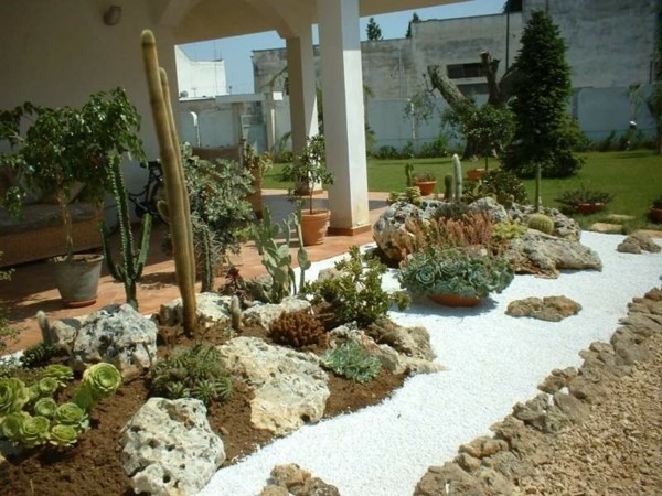 cactus design garden