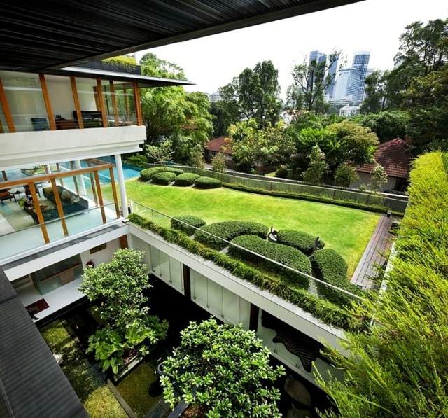 courtyard garden English green leafy green boxwood interior