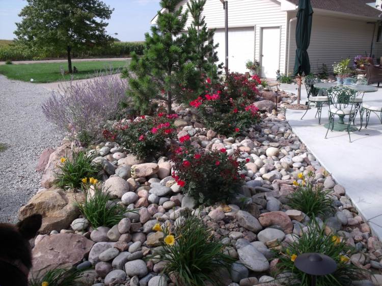 rock garden idea