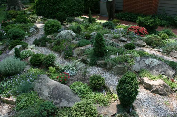 rock garden green plants