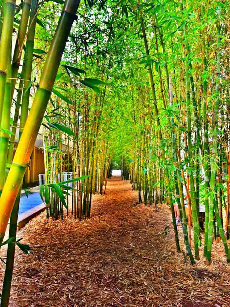 bamboo deco idea bamboo garden