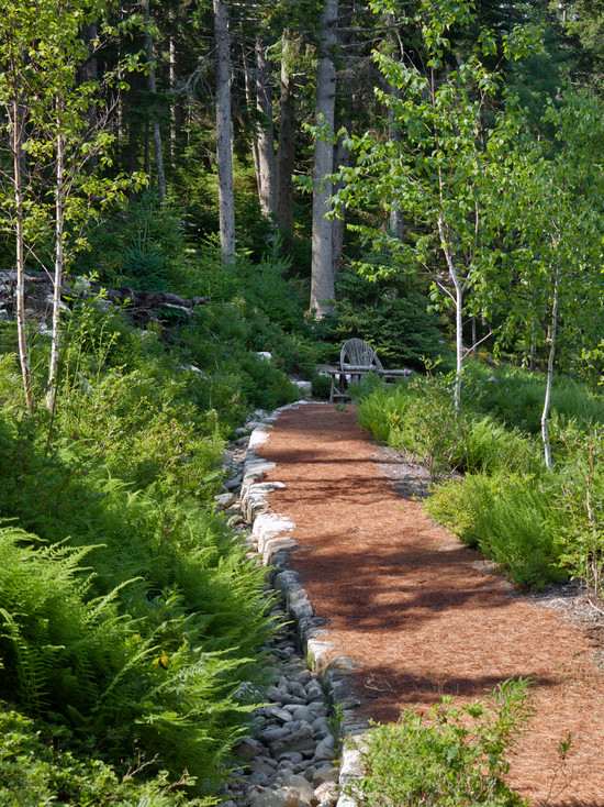 forest design garden