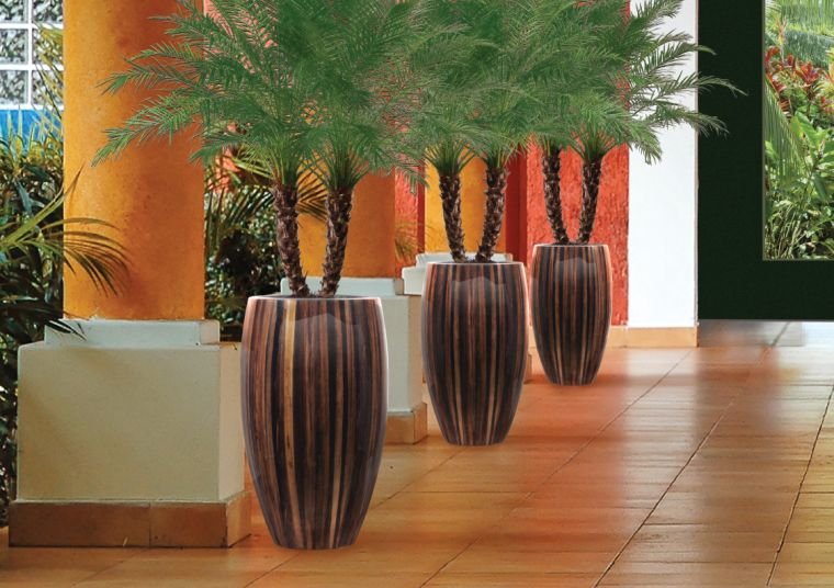 gardens design plant pot indoor