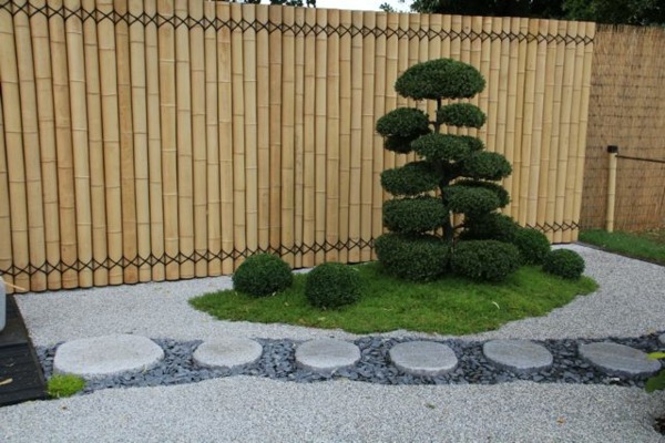 Zen garden design pebble plants