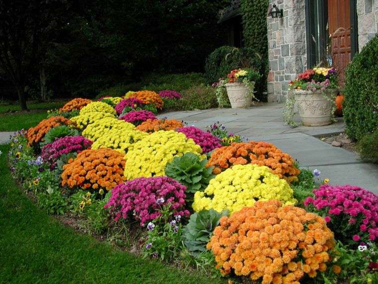 front garden-house-flower-allee-outside-deco