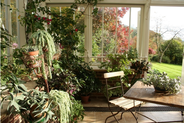 garden of'hiver maison plantes