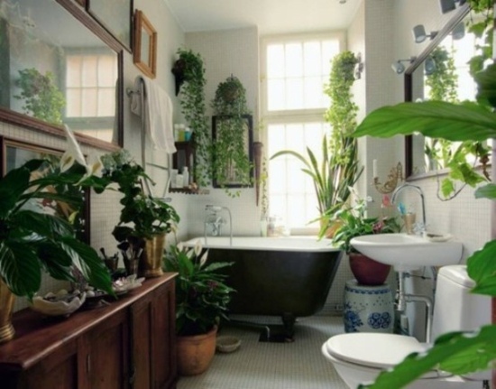 garden of'interieur dans salle de bain