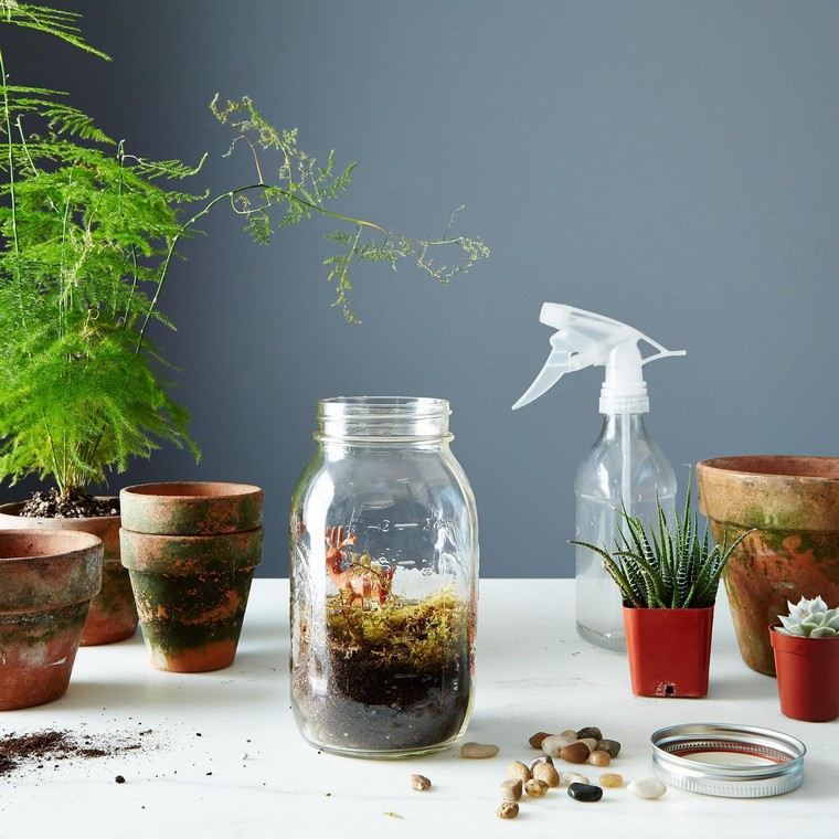 pot glass terrarium idea pot earthenware