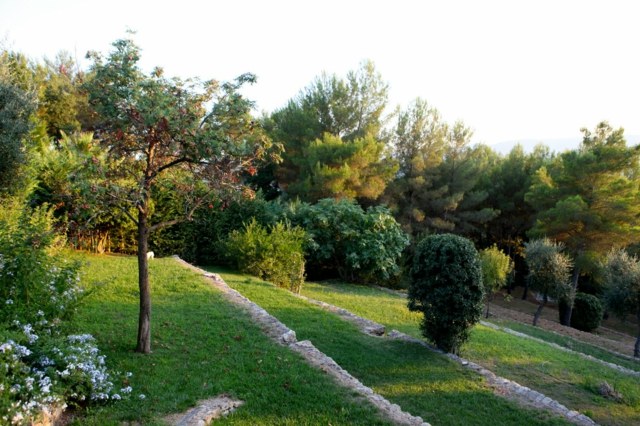 garden landscape stair