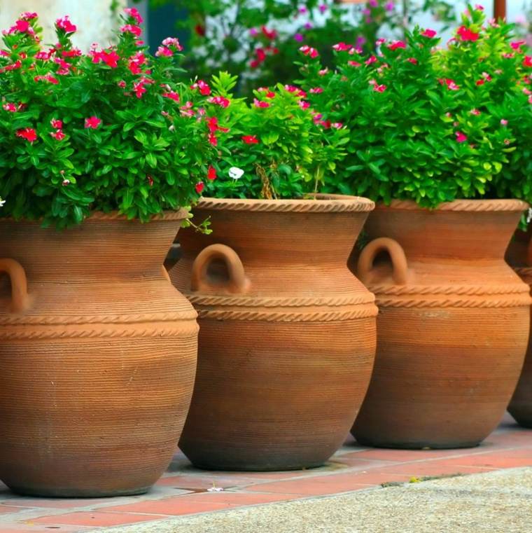 garden deco outdoor plant in pot