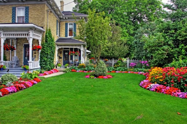 landscaped garden flowers