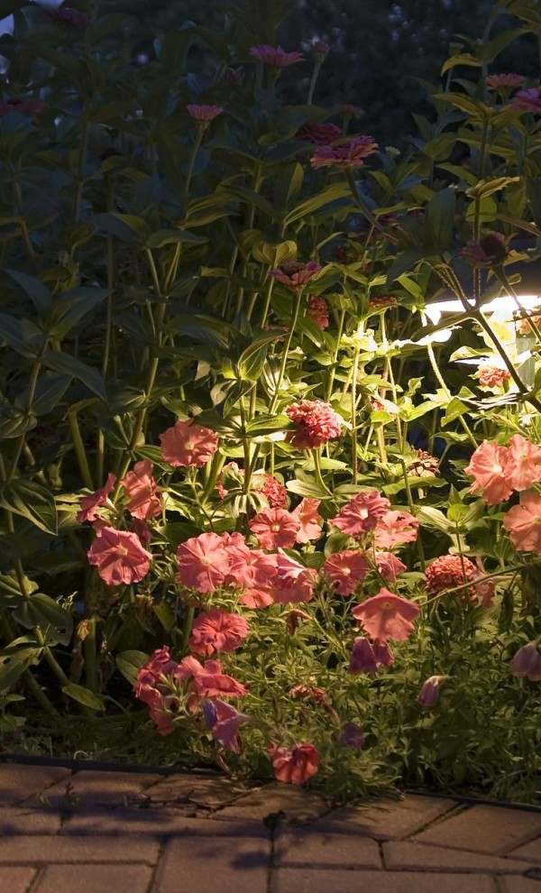 garden flowers lighting lamps