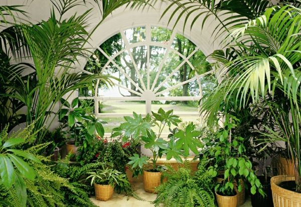 winter garden design