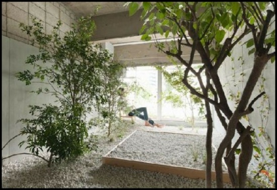 interior garden creation