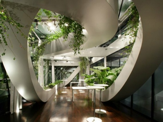 modern design interior garden