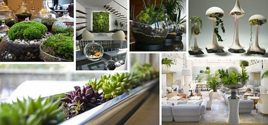 garden-interior-ideas