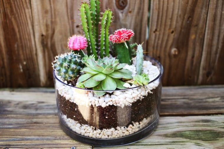 Haven-interiør-Terrarium-plante-saftige kaktus-ideer