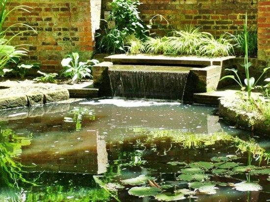 Japanese garden landscaping