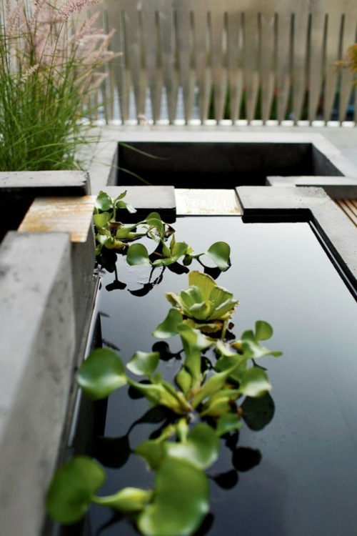 japanese garden water basin