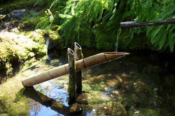 japanese garden contemoirain water bamboo