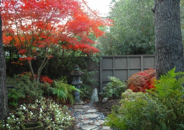 Japanese garden single tree - red