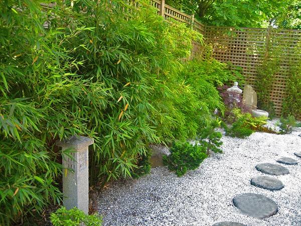 traditional japanese garden