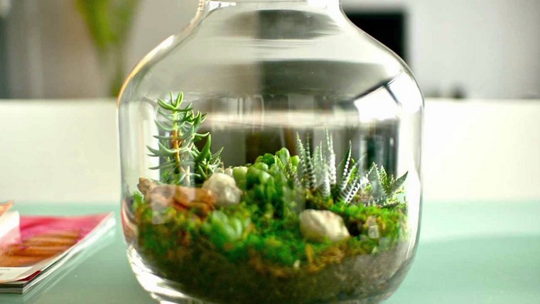 succulent idea terrarium stone deco mini garden