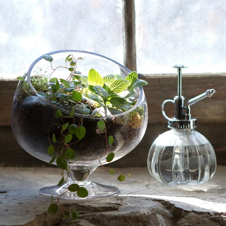 glass terrarium idea indoor succulent plants idea