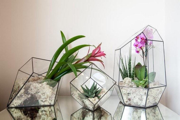 idea terrarium flowers interior plants interior fat