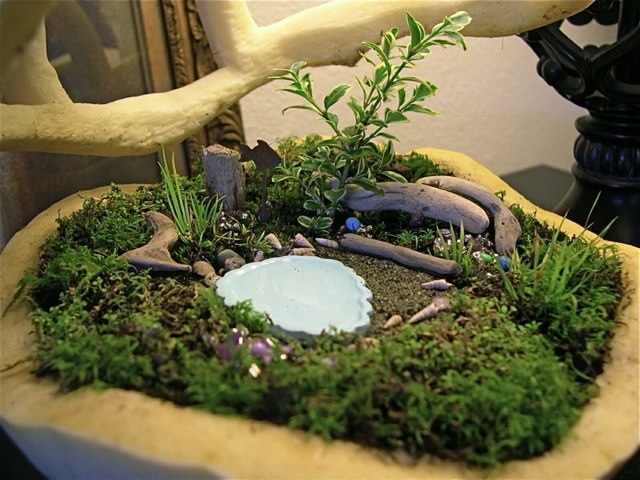 mini garden wood plants