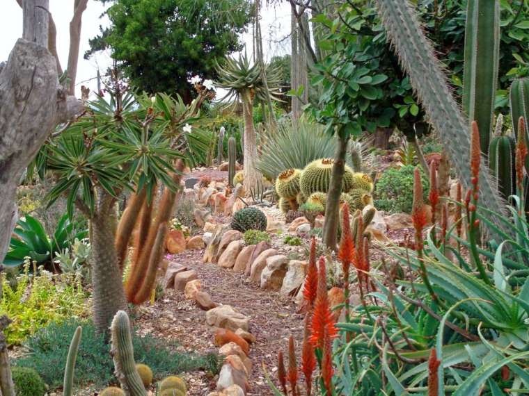 tumbuh-tumbuhan succulent taman moden