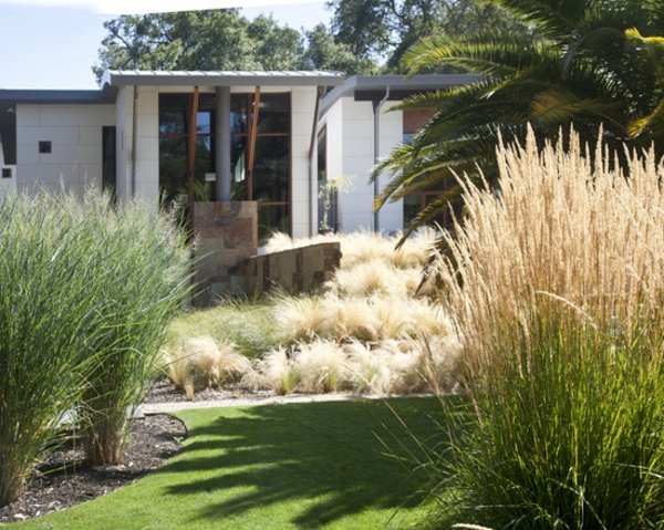 modern garden greenery