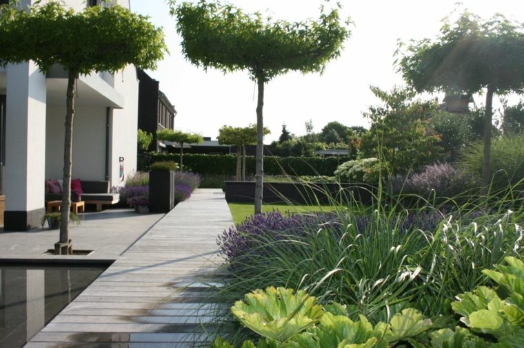 landscaped garden outdoor plants zen style