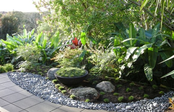 zen landscaped garden