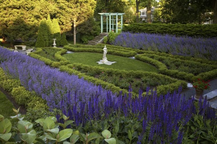 landscape garden lavender