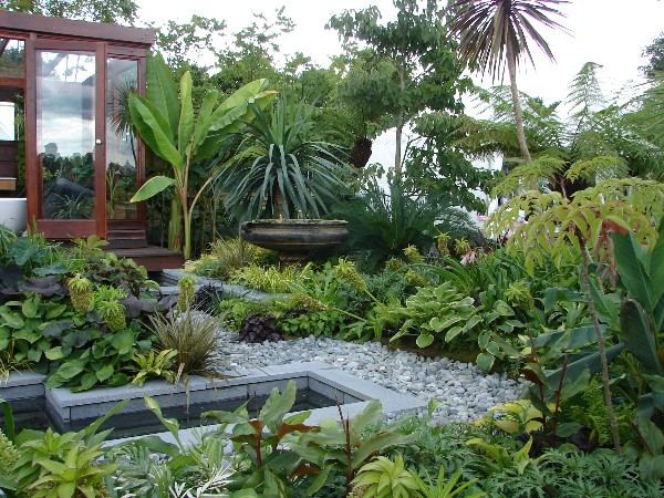 garden exotic plants deco