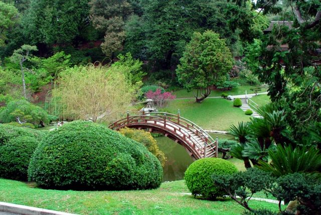 garden bridge shrubs