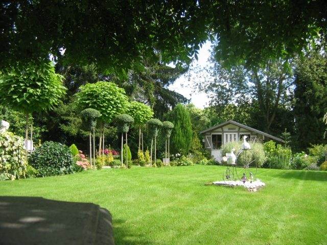 spacious garden grass trees