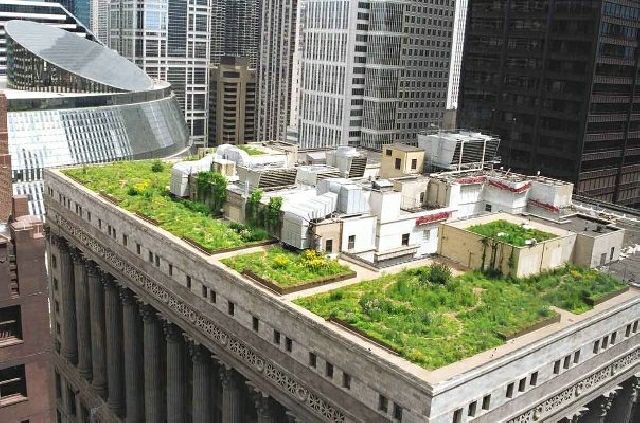 modern roof garden
